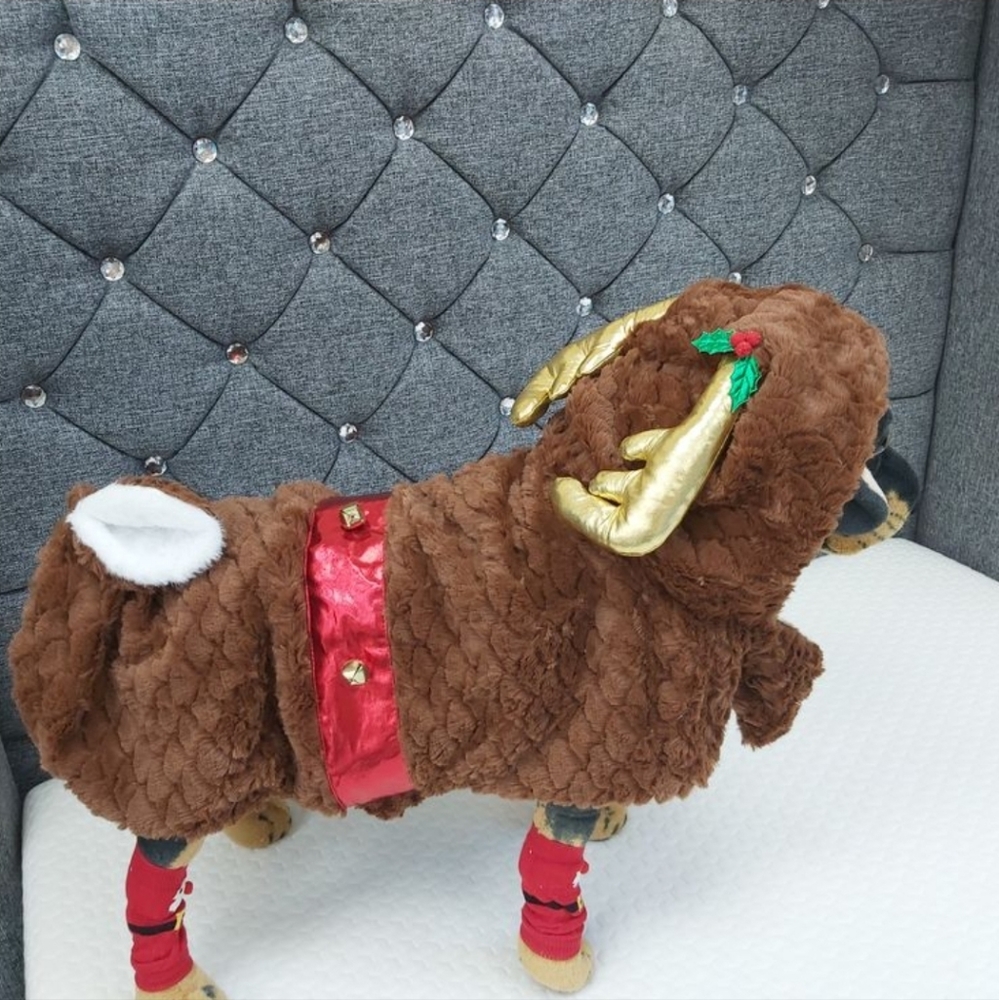 LAST CHANCE❎ WAS $42 ❎ Reindeer DOGGIE 🎄 Costume 🐕 Dogs See measurements